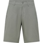 Salewa Herren Fanes Hemp Light Shorts (Größe S, grau)