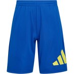 adidas Train Essentials Big Logo  Kinder  Jeans & Freizeithose blau Größe 164 