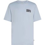 O'NEILL Herren Shirt GRAPHIC LOGO T-SHIRT, Größe M in Silber