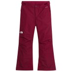 The North Face - Kid's Girl Freedom Insulated Pant - Skihose Gr L rot