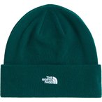 The North Face Norm   Mützen & Beanies beige Größe ONE SIZE Lifestyle  Schnel