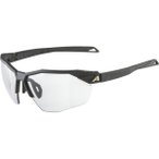 Alpina Twist Six HR V 1-3 Sportbrille (Größe One Size, schwarz)