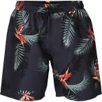 BRUNOTTI Herren Badeshorts Maron-AO Men Swimshort, Größe S in Schwarz