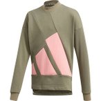 ADIDAS Mädchen The Pack Sweatshirt, Größe 128 in Grau