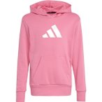 adidas Kinder Glam Graphic Hoodie ( Beere 164 Größe,)
