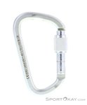 Metolius Screw Lock Schraubkarabiner-Silber-One Size