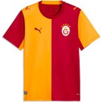 PUMA Herren Trikot  Galatasaray S.K. Heim 26/27, Größe S in Orange