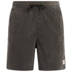 Protest - PRTUleyo - Shorts Gr S grau