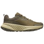 Helly Hansen - Awe Hiker Dwr - Multisportschuhe 46,5 oliv