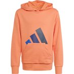 adidas Essentials  Kinder  Hoodies orange Größe 176 Lifestyle  Hautfreundlich