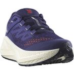 SALOMON Damen Laufschuhe SHOES AERO GLIDE 3 GRVL W Astral/Vanila, Größe 42 in 