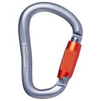 Black Diamond - Rocklock Twistlock Carabiner - Verschlusskarabiner grau