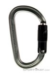 Petzl Am'D Ball-Lock Karabiner-Grau-One Size