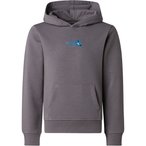 The North Face Liquid Logo Reg  Kinder  Hoodies grau Größe 116  Lifestyle Haut