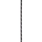 Edelrid Performance Static 10.5 mm Statikseil  Statikseile schwarz Größe 50M A