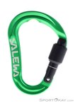 Salewa Ortles S HMS-Karabiner-Grün-One Size