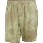 adidas Terrex Multi SD  Herren  Kurze Hosen oliv Größe L Trekking  Wasserabwei