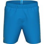 ARENA Herren Badeshorts FUNDAMENTALS LOGO BOXER, Größe L in Blau