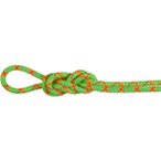 Mammut 8.0 Alpine Core Protect Dry 60m Halbseil Unisex ( Hellgrün 60 Größe,)