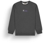 Picture Organic Clothing Toanah Crew Herren Sweatshirt ( Grau S Größe,)