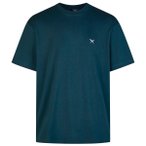 Iriedaily - Mini Flag Relaxed Tee - T-Shirt Gr XL blau