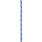 Edelrid Performance Static 10.5 mm Statikseil (Größe 50M, tuerkis)