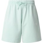 THE NORTH FACE Damen Shorts W ESSENTIAL LIGHT RELAXED SHORTS, Größe M in Grün