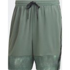 ADIDAS Herren Shorts WO AOP SHO, Größe S in Grün