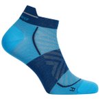 Icebreaker - Merino Run+ Ultralight Micro - Laufsocken 44,5-46,5 blau
