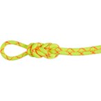 Mammut 9.5 Alpine Core Protect Dry 40 m Einfachseil Unisex ( Hellgrün Größe,)