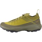 Arc'teryx Vertex Alpine GTX  Herren  Zustiegsschuhe gruen Größe 46.5  Trekking