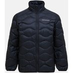 Peak Performance Daunenjacke Herren