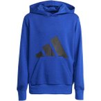 ADIDAS Kinder Kapuzensweat Essentials Kids, Größe 164 in Blau