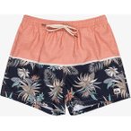 QUIKSILVER Herren Bermuda LIFEONREEF JAMV, Größe XL in Pink