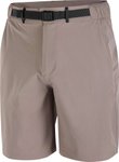Salomon - Wasserabweisende, atmungsaktive Shorts &ndash; Herren &ndash; Wayfarer
