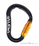 Salewa Ortles C.3 M HMS-Karabiner-Schwarz-One Size