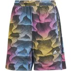 ADIDAS Damen Shorts Tiro Print Mesh Summer, Größe XS in Grau