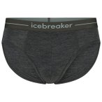 Icebreaker - Anatomica Briefs - Merinounterwäsche Gr S grau