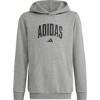 adidas Hoodie Jungen