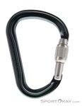 Petzl William Screw-Lock HMS-Karabiner-Grau