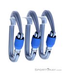 Black Diamond HotForge Karabiner-Set-Grau-One Size