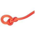 Mammut - 9.8 Crag Dry Rope - Einfachseil Länge 60 m rot