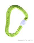 Edelrid Bullet Screw HMS-Karabiner-Grün-One Size