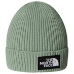 The North Face - Kid's TNF Logo Box Cuffed Beanie - Mütze Gr One Size grün