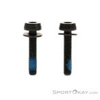 Campagnolo 20-24mm 2P Befestigungsschraube-Schwarz-One Size