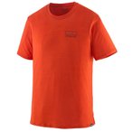 Patagonia Cap Cool Merino Blend Graphic Shirt T-Shirt, S, fitz roy strata: polli