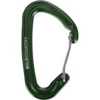 Wild Country Astro Karabiner  Karabiner gruen Größe One Size Alpinklettern