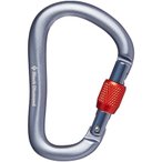 Black Diamond RockLock Screwgate Schraubkarabiner, grey