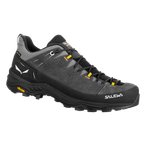 Salewa Herren Alp Trainer 2 GTX Wanderhalbschuh 10