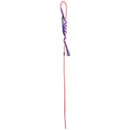 Beal Escaper Pink Abseil System